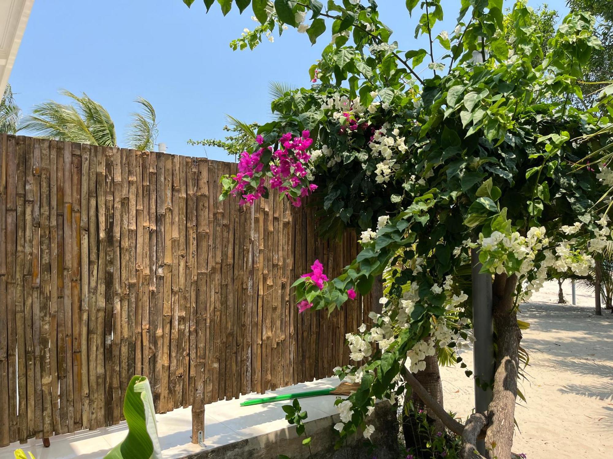 Robinson Beach Bungalow Vinh Hoa Dış mekan fotoğraf