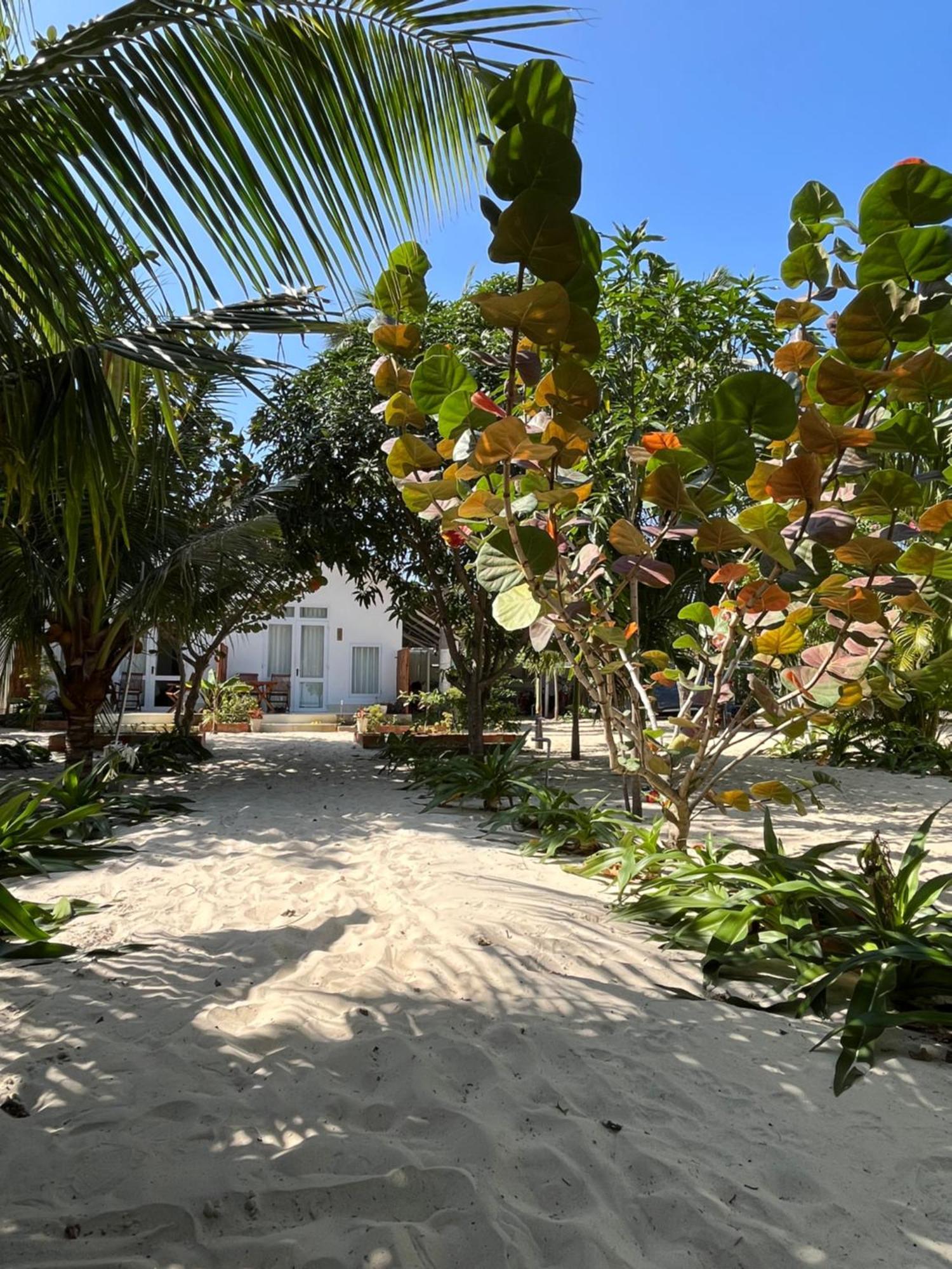 Robinson Beach Bungalow Vinh Hoa Dış mekan fotoğraf