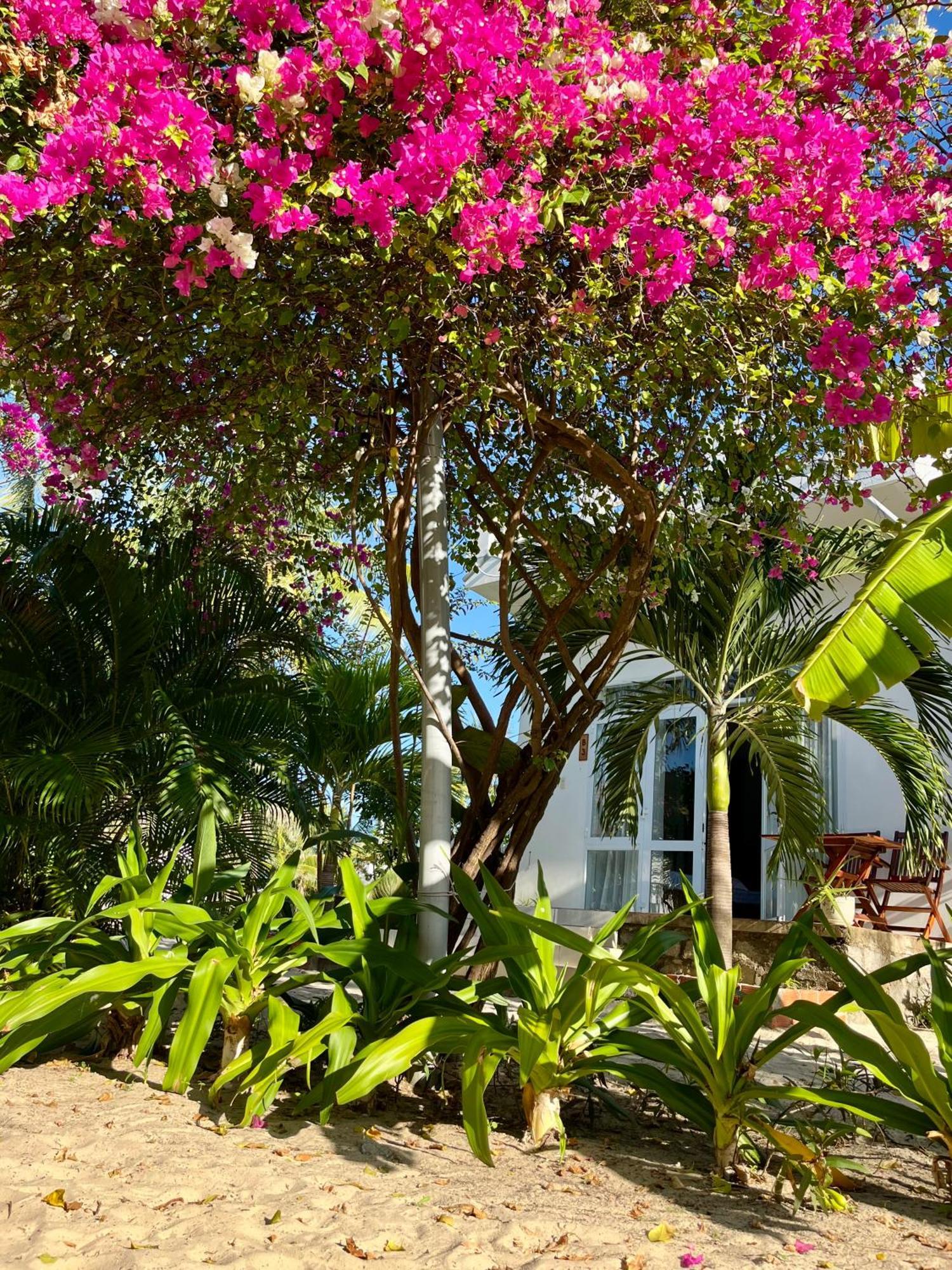 Robinson Beach Bungalow Vinh Hoa Dış mekan fotoğraf